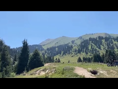 BCM115 “where I am from?”