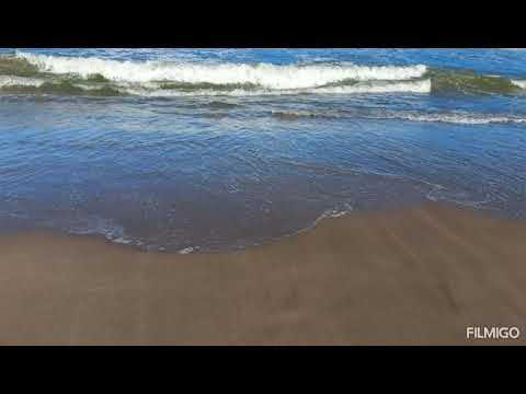 Si... de Perales - por Andres Simón Lipisky 