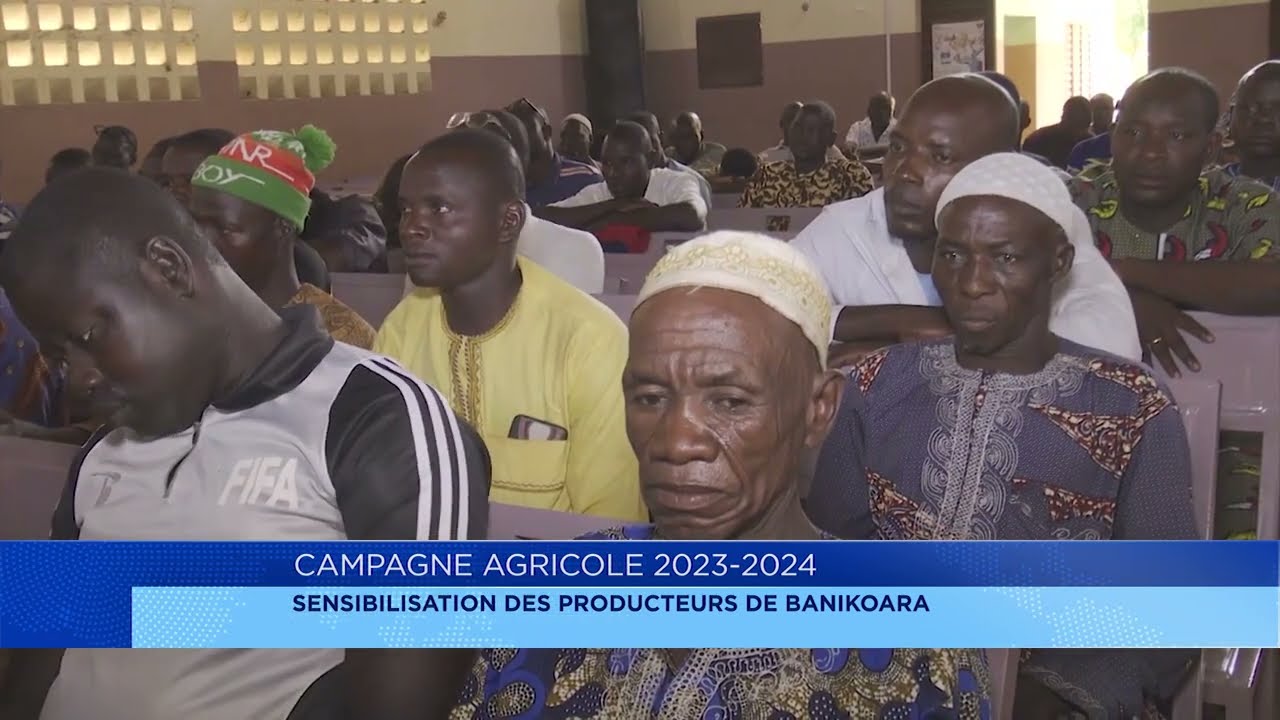 Campagne cotonnière 2023 - 2024 : les acteurs fixés sur le contexte du déroulement