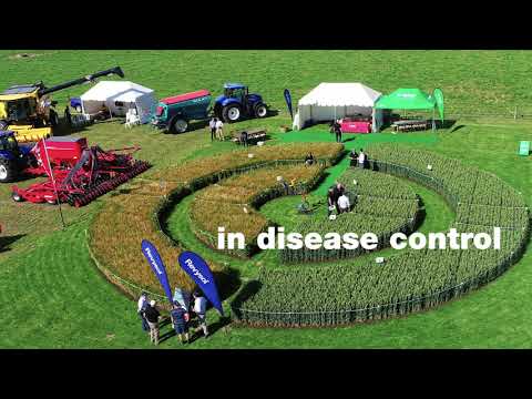 NEW Revystar® Fungicide