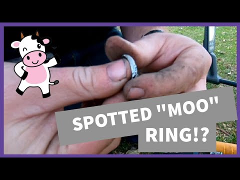 We Found A RING!! | Equinox 800