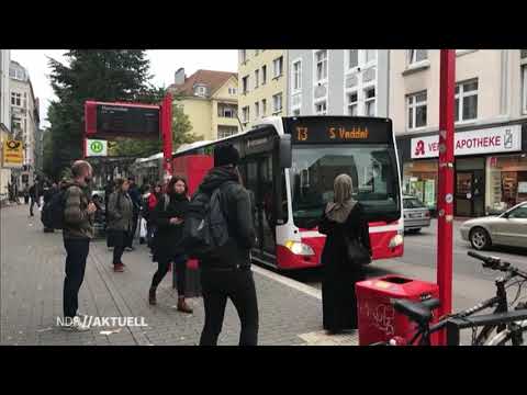 Warum AfD ? Auf Spurensuche in Wilhelmsburg