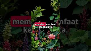 Download lagu KEAJAIBAN AL QURAN Kemunculan Tanaman dari Bumi – Ya Sin 3633 mp3 Download lagu KEAJAIBAN AL QURAN Kemunculan Tanaman dari Bumi – Ya Sin 3633 mp3