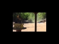 Remotely Operated Video Enabled Rifle ROVER
