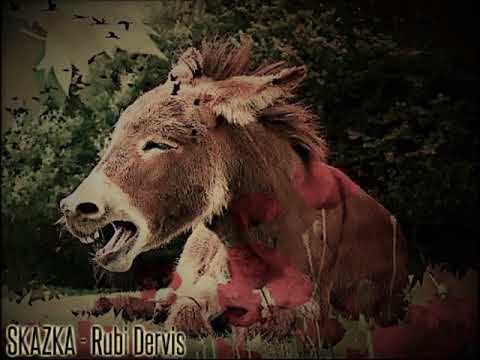 פי האתון Skazka - Rubi Dervis - Pi Haaton