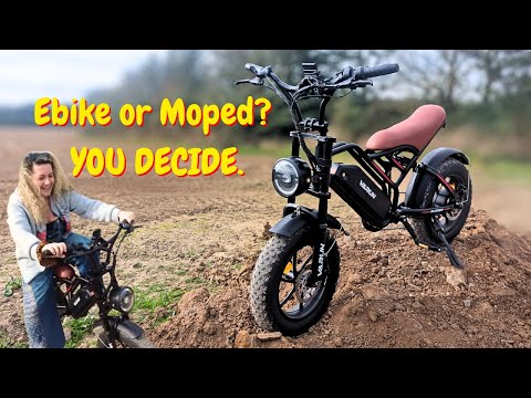 The Groovy Life-Varun Plorer Review