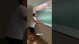 How Swimmers Train Their Strength