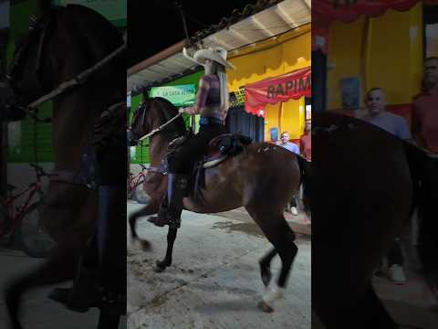 San Roque, Antioquia, celebrating Colombia’s equestrian traditions! 🐎🇨🇴