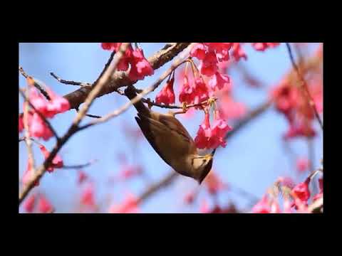 Salam us par ke jisne be kaso ki. Mola ya sali wa salim. Beautiful naat