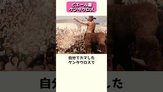ピエール瀧を追い詰めたケンタウロス #shorts