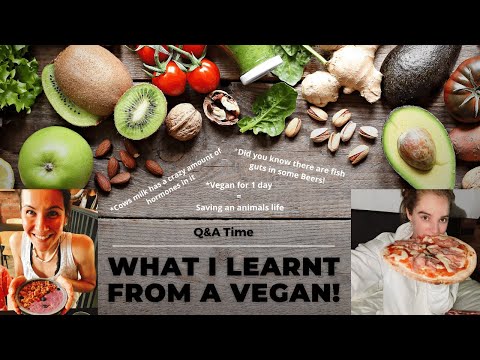 A Meat Eater, Talking To A Vegan!!