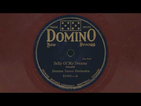 1928 DOMINO DANCE ORCHESTRA Sally Of My Dreams FOX TROT with vocal chorus - 78 RPM Record