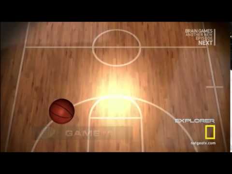 Brain Games- Perception of Shadows and Gray Box Illusion