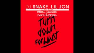 DJ Snake &amp; Lil Jon-Turn down for what (DJ Paul Ripoll Remix) Feat Pitbull,Ludacris
