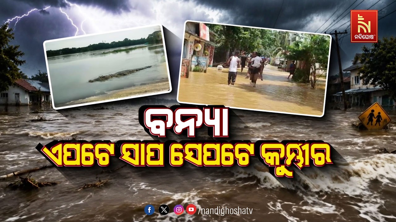 🔴Live | ବନ୍ୟା: ଏପଟେ ସାପ ସେପଟେ କୁମ୍ଭୀର
