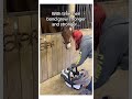 It was destiny ♥️🥹 #animals #horse #wholesome