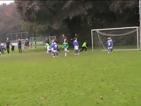 2015-10-17 - Baronie F1 - Boeimeer F1 - mooi gekeept Rayshelon