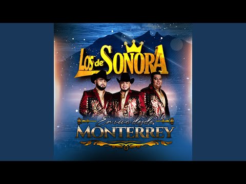 El Rock Del Sapo (En Vivo)