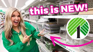 Dollar Tree Organization You’ll Want Immediately!