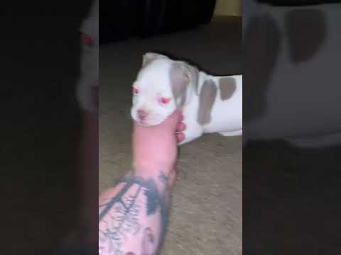Wild boy Running around goofing off
