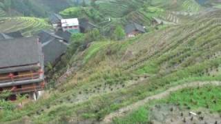Video : China : The LongJi hillside rice terraces - video