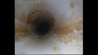 Download the video "2025070 sewer out"