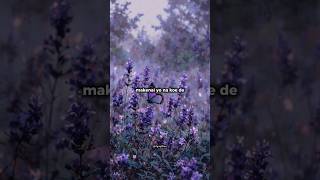 Download lagu Suzume — RADWIMPS feat. Toaka | lyrics | Japanese vibes | emotional edit | anime music mp3