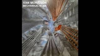 Van Morrison - I&#39;m Not Working For You - Mechanical Bliss