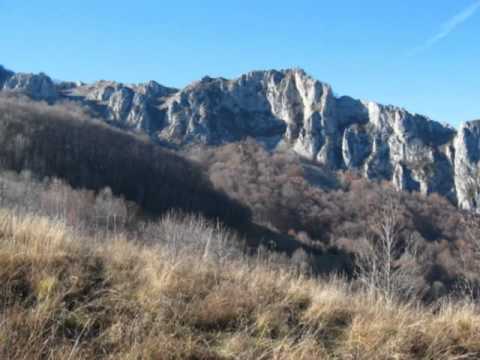 Valea Uzei - Fata Pietrii (14 noiembrie 2010)