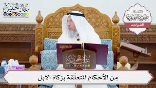 [638] مِن الأحكامِ المتعلّقة بزكاة الابل - عثمان الخميس