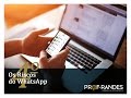 Riscos e Netiquetas no WhatsApp - Uso do WhatsApp na Gestão de Vendas