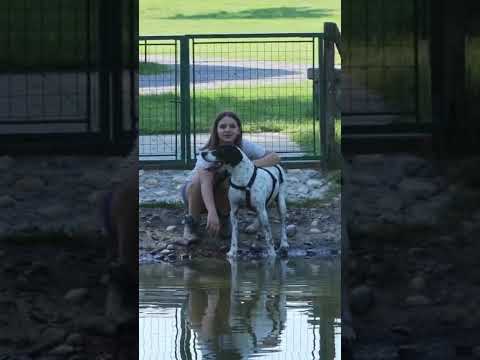 Video di MATISSE