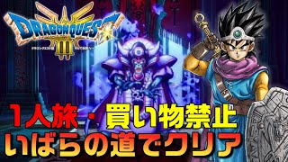 【ドラクエ３リメイク】勇者１人・買い物禁止・いばらの道で闇衣ゾーマを倒す【HD2D】