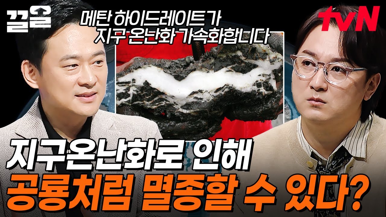 지구 온난화로 생태계 흡수능력을 잃어가는 지구