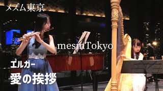 Download lagu 【グランドハープ×フルート】エルガーElgar「愛の挨拶Salt d'Amour」 mp3