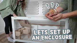 Setting up A New Hamster Cage: Deep Bedding & Wheels