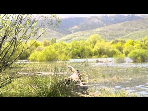 Cloar en Pinilla del Valle