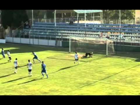 Fc Sioni 1-2 Fc Zestafoni