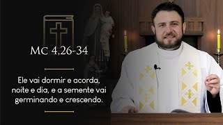 Homilia Diária | Sexta-feira - Memória de São João Bosco, presbítero (Mc 4,26-34)