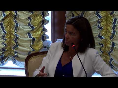 BSF 2017 The future according to Tanja Fajon and Jacques Rupnik