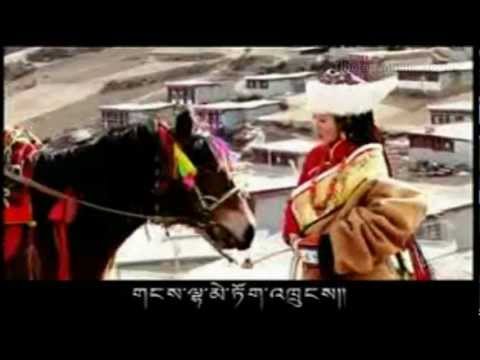 Tibetan song 2012 - The girl from Tibetan plateau by Tsewang Lhamo