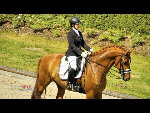 Dressurfestival "Der Ritt um das Goldene Pferd"