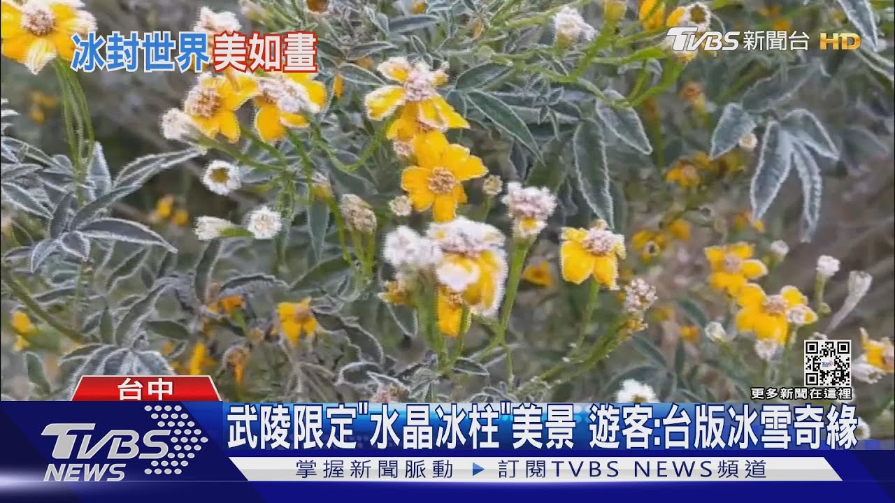 武陵限定「水晶冰柱」美景 遊客:台版冰雪奇緣