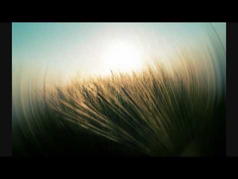 Tiesto feat Saksofonist Syntheticsax - I Will Be Here (Wolfgang Gartner Radio Remix)