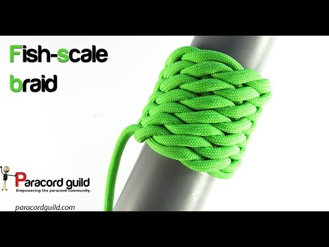 Fish-scale braid