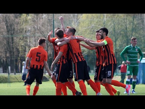 Shakhtar U19 5-0 Vorskla U19. Highlights (9/04/2017)