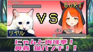 【こねこ】リヤルとBURIのバトル！勝つのはどっちだ！？【猫動画】