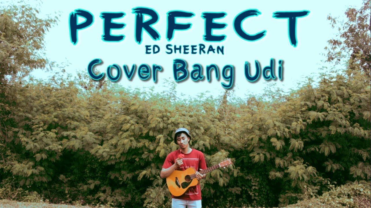 Ed Sheeran - Perfect (Cover Bang Udi)