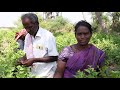 MADURAI MALLI