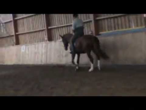 Don Juan, March 2012.wmv